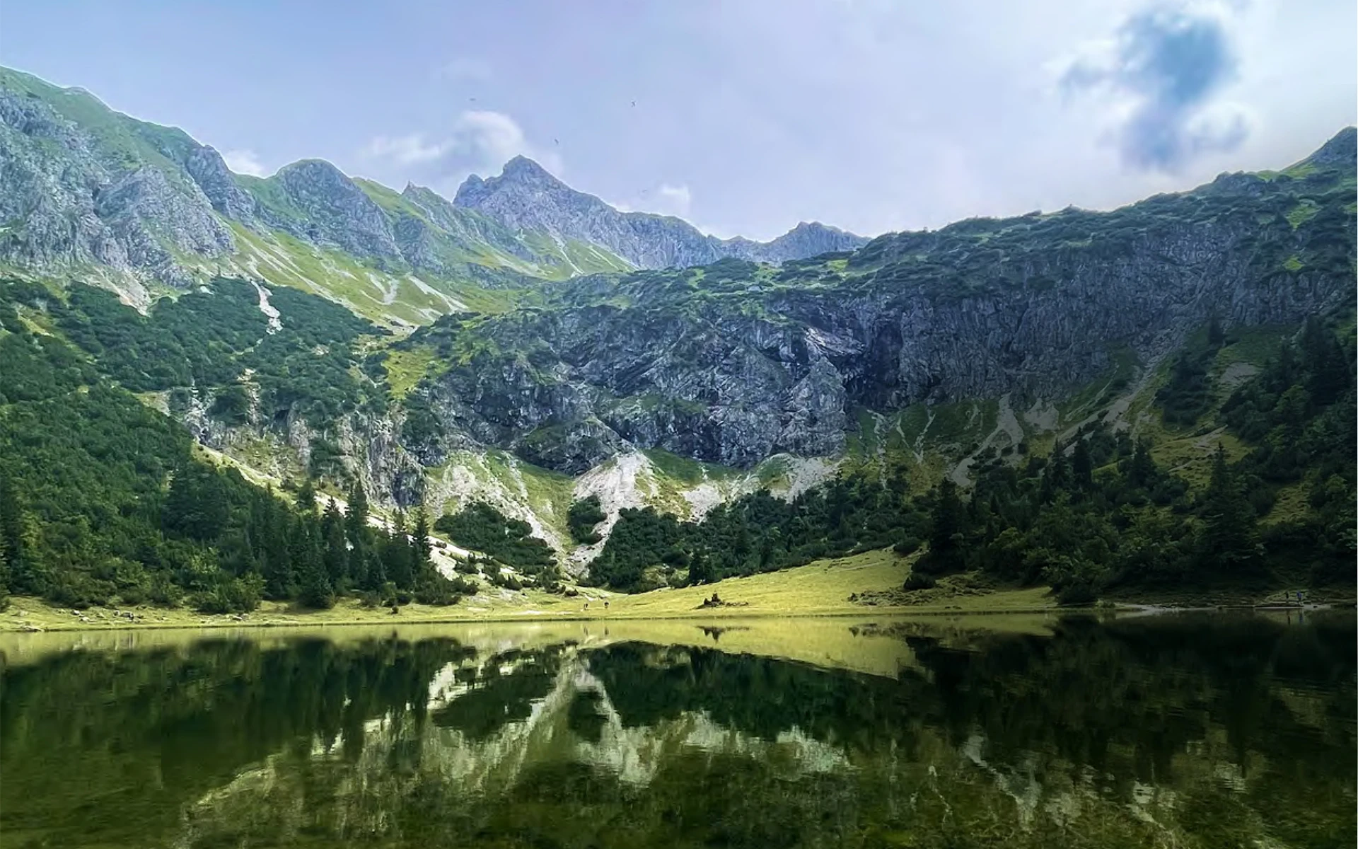 mgs header regionale lieferanten v2